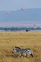 037 Kenia, Masai Mara, zebra